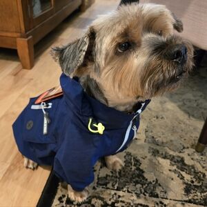 Arcadia Trail® Waterproof Dog Windbreaker Jacket M
